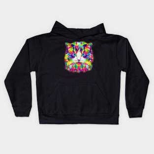 Cat Graphic Art Gifts, Cat Lover Gift Colorful Cute Color Burst Kitty Products Kids Hoodie